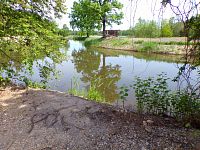 Rybník u Tůmovky (Žďár nad Orlicí)