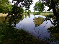 Rybník u Tůmovky (Žďár nad Orlicí)