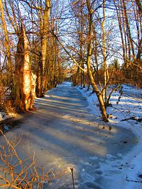 Malý Labský náhon (Hradec Králové)