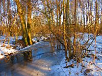 Malý Labský náhon (Hradec Králové)