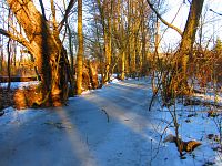 Malý Labský náhon (Hradec Králové)