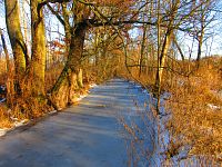 Malý Labský náhon (Hradec Králové)