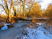 Malý Labský náhon (Hradec Králové)