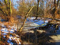 Malý Labský náhon (Hradec Králové)