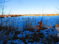 Písník Dubina (Hradec Králové)