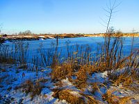 Písník Dubina (Hradec Králové)