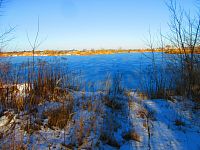 Písník Dubina (Hradec Králové)