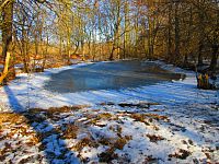 Jezuitská jezera (Hradec Králové)