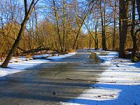 Jezuitská jezera (Hradec Králové)