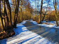 Jezuitská jezera (Hradec Králové)