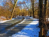 Jezuitská jezera (Hradec Králové)