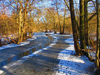 Jezuitská jezera (Hradec Králové)