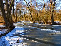 Jezuitská jezera (Hradec Králové)