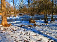 Jezuitská jezera (Hradec Králové)