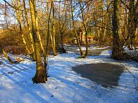 Jezuitská jezera (Hradec Králové)