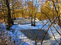 Jezuitská jezera (Hradec Králové)