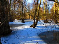 Jezuitská jezera (Hradec Králové)