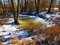 Jezuitská jezera (Hradec Králové)