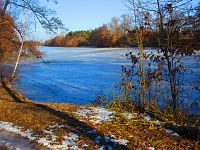 Plačický písník (Hradec Králové)