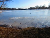 Plačický písník (Hradec Králové)