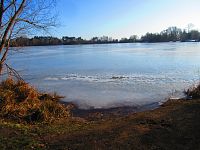 Plačický písník (Hradec Králové)