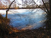 Plačický písník (Hradec Králové)