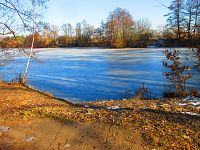 Plačický písník (Hradec Králové)