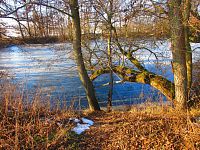 Plačický písník (Hradec Králové)