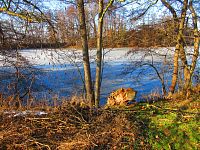 Plačický písník (Hradec Králové)