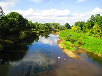 Řeka Labe (Dříteč)