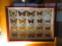 Regionální muzeum Mělník (Mělník)