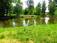 Rybník u zámku (Dolní Přím)