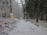 Morové kapličky (Nowa Ruda)