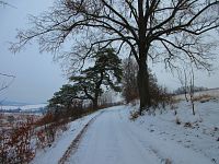 Mariánská poutní cesta (Vambeřice)