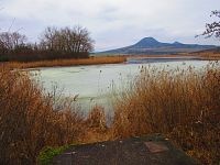 Dobroměřický rybník (Dobroměřice)