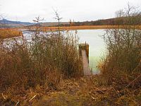 Dobroměřický rybník (Dobroměřice)