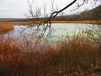 Dobroměřický rybník (Dobroměřice)