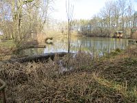 Dolecký rybník (Jaroměř)