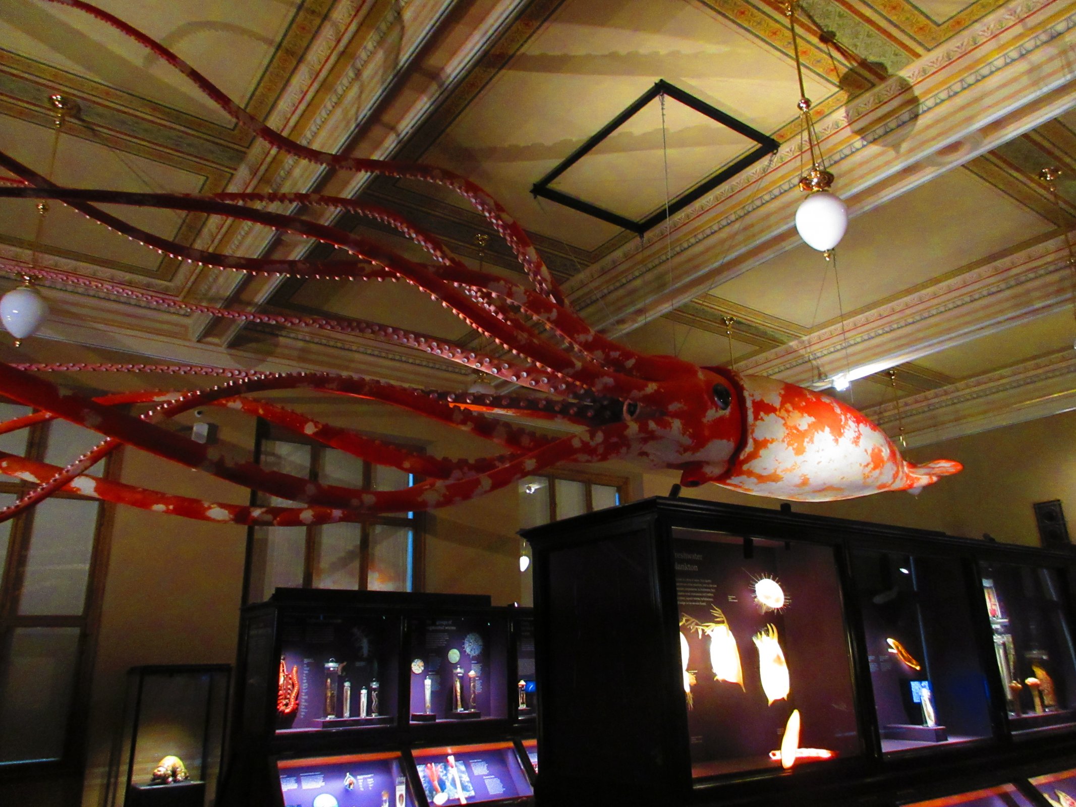 Národní muzeum v Praze