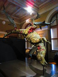 Národní muzeum (Praha)