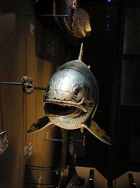 Národní muzeum (Praha)