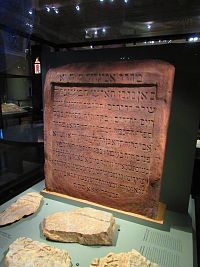 Národní muzeum (Praha)