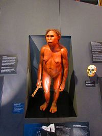 Národní muzeum (Praha)