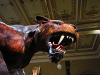 Národní muzeum (Praha)