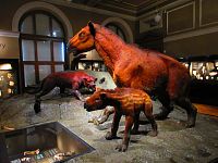 Národní muzeum (Praha)