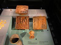 Národní muzeum (Praha)