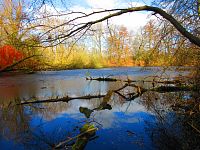 Staré Labe u Třebše (Hradec Králové)