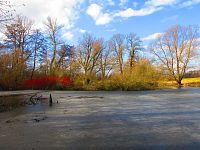 Staré Labe u Třebše (Hradec Králové)