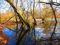 Staré Labe u Třebše (Hradec Králové)