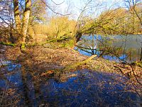 Staré Labe u Třebše (Hradec Králové)